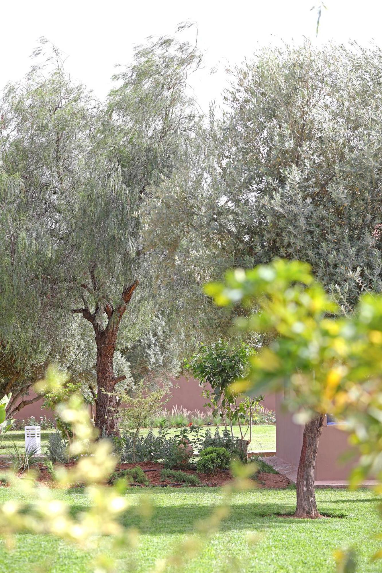 Hotel Domaine Du Douar Chwiter Exterior foto